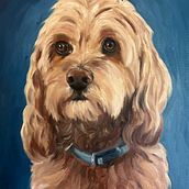 My project for course: Realistic Pet Portraits with Oil Painting. Artes plásticas, Pintura, Pintura a óleo e Ilustração naturalista projeto de Cathy Polcaro - 27.12.2023