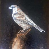 The final oil painting!. Fine Arts, Painting, Oil Painting, and Naturalistic Illustration project by Laura Jeacock - 12.29.2023