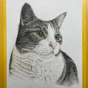 My project for course: Pet Portraits in Colored Pencils. Een project van Traditionele illustratie y Naturalistische illustratie van Wendy van den Berg-Heyer - 29.12.2023