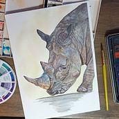 My project for course: Watercolor Illustration: Painting Realistic Wildlife. Un proyecto de Pintura a la acuarela e Ilustración naturalista				 de Elaine Leff - 29.12.2023
