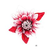 Dalia. Un projet de Illustration botanique, Dessin aux cra , et ons de couleur de Giorgia Migli - 30.12.2023