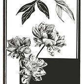 Il mio progetto del corso: Illustrazione botanica contemporanea a inchiostro. Un projet de Illustration traditionnelle, Dessin artistique, Illustration botanique et Illustration à l'encre de Giorgia Migli - 30.12.2023