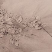 Mein Abschlussprojekt für den Kurs: Ausdrucksstarkes Zeichnen mit Holzkohle. Fine Arts, Drawing, Portrait Drawing, and Naturalistic Illustration project by Esther Keller - 12.31.2023