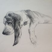 My project for course: Expressive Drawing with Charcoal Ein Projekt aus dem Bereich Bildende Künste, Zeichnung, Porträtzeichnung und Naturalistische Illustration von Nataliya Dubikova - 01.01.2024