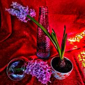 Mi proyecto del curso: Fotografía de bodegón botánico. Product Photograph, Fine-Art Photograph, Lifest, and le Photograph project by lilianabmalant_1 - 01.02.2024
