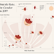 Data Visualization and Information Design: Create a Visual Model (Suicide Rate in 2019). Information Design, Interactive Design & Infographics project by urcdaru - 01.02.2024