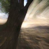 Pictures I took. Photograph project by Shiran Taub - 01.03.2024
