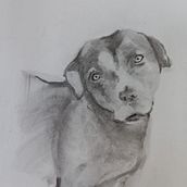 Meu projeto do curso: Desenho expressivo com carvão. Fine Arts, Drawing, Portrait Drawing, and Naturalistic Illustration project by Raquel Beatris - 01.03.2024