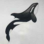 My project for course: Naturalist Illustration Techniques: Whales in Watercolor. Un progetto di Belle arti, Pittura, Pittura ad acquerello e Illustrazione naturalistica di Laura Forioni - 02.01.2024