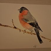 Aqua bird. Traditional illustration project by anet_at - 01.03.2024