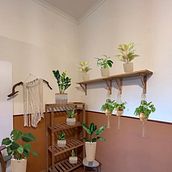 Mój projekt z kursu: Podstawy aranżacji wnętrz: dekorowanie roślinami. Interior Design, L, scape Architecture, Decoration, Interior Decoration, DIY, Floral, Plant Design, and Spatial Design project by celestyna6 - 01.03.2024