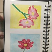 Meu projeto do curso: Ilustração botânica com aquarela. Projekt z dziedziny Trad, c, jna ilustracja,  Sztuki piękne,  Malarstwo,  R, sunek, Malowanie akwarelą, R i sunek botaniczn użytkownika dany cavallari - 03.01.2024