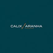 Branding Calix Aranha Advogados. Design, Br, ing, Identit, Graphic Design, and Web Design project by Cassio Tavares - 01.03.2024