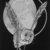 Lunar Animals. Traditional illustration & Ink Illustration project by Laura Jeacock - 01.04.2024
