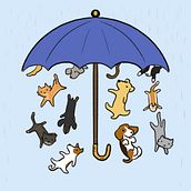 Cats and Dogs. Traditional illustration project by caterina mariotti - 01.04.2024