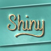 My project for course: Designing 3D Chrome Letters in Procreate. T, pograph, T, pograph, and Design project by Tara Mercer - 01.02.2024