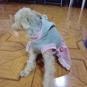 Mi proyecto del curso: Técnicas para entrenar tu creatividad. Design, Fine Arts, Graphic Design, Creativit, and Sketchbook project by Scarlet Natasha Luna Vásquez - 01.05.2024