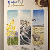 Nature Journal Page - Colorado. Naturalistic Illustration project by jmailhot236 - 01.05.2024