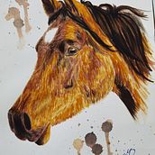 My project for course: Expressive Animal Portraits in Watercolor. Un proyecto de Ilustración tradicional, Pintura a la acuarela, Dibujo realista e Ilustración naturalista				 de Dorottya Molnár - 04.01.2024