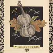 Violoncello migratorio. Collage project by Inés Pina Pérez - 01.06.2024