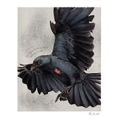 Mi proyecto del curso: Ilustración naturalista con bolígrafo. Un proyecto de Ilustración tradicional, Dibujo, Dibujo realista e Ilustración naturalista				 de Bianca Morocho - 07.01.2024
