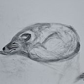 Course Projects: Expressive Drawing with Charcoal. Fine Arts, Drawing, Portrait Drawing, and Naturalistic Illustration project by jpbd - 01.07.2024