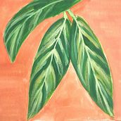 Alpinia. Un proyecto de Ilustración tradicional y Bellas Artes de Francine Lacerda - 07.01.2024