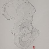 Meu projeto do curso: Desenho anatômico com lápis grafite para iniciantes. Fine Arts, Pencil Drawing, Drawing, Realistic Drawing, and Figure Drawing project by Luiz Takase - 01.07.2024