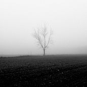 The Journey. Photograph, Photo Retouching, L, and scape Architecture project by Miquel Torres - 12.15.2021