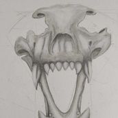 Mi proyecto del curso: Dibujo anatómico con lápiz de grafito para principiantes Ein Projekt aus dem Bereich Bildende Künste, Bleistiftzeichnung, Zeichnung, Realistische Zeichnung und Anatomische Zeichnung von Erick Juarez Gerónimo - 12.01.2024