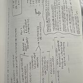 Mi proyecto del curso: Introducción al branding estratégico. Un proyecto de Br, ing e Identidad, Consultoría creativa, Marketing, Comunicación y Estrategia de marca						 de Ana Garza - 07.01.2024