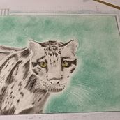 Mein Abschlussprojekt für den Kurs: Realistische Tierbilder in Graphitstift. Un projet de Beaux Arts, Dessin au cra, on, Dessin, Dessin réaliste et Illustration naturaliste de sabrina_dragons - 14.01.2024
