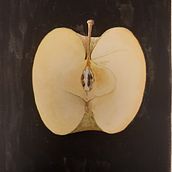 Il mio progetto del corso: Acquerello botanico: illustra arte e scienza. Un projet de Illustration traditionnelle, Beaux Arts, Peinture, Dessin, Aquarelle et Illustration botanique de g_littardi - 14.01.2024