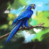 Birds. Un progetto di Design e Character design di Camille Fleury - 14.01.2024