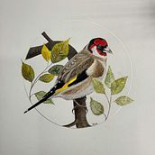 Mein Abschlussprojekt für den Kurs: Filigrane Aquarellmalerei mit Metallic-Akzenten. Traditional illustration, Painting, Watercolor Painting, Botanical Illustration, Naturalistic Illustration, and Decorative Painting project by j5xht8ttb8 - 01.14.2024