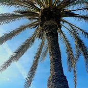 Mi proyecto del curso: Fotografía de viajes con smartphone para principiantes. Un progetto di Fotografia con smartphone, Fotografia all'aperto e Fotografia per Instagram di Vanessa Gomez - 14.01.2024