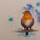 Acquerello artistico per illustrazione di animali: gli uccelli - a robin bird. Traditional illustration, Watercolor Painting, Realistic Drawing, and Naturalistic Illustration project by Fabrizio Ranuzzi - 01.15.2024