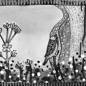 Chercán sobre un árbol - Tinta china. Traditional illustration, Drawing & Ink Illustration project by Orquídea Flor - 01.16.2024