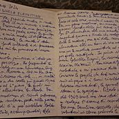 Diario dei miei ricordi di infanzia . Scriere, Creativitate și Narrativ de Barbara Corbanese - 01.16.2024