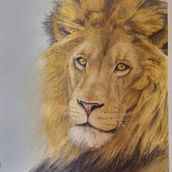 My project for course: Expressive Animal Portraits in Watercolor. Traditional illustration, Watercolor Painting, Realistic Drawing, and Naturalistic Illustration project by Michelle Esterhuizen - 01.10.2024