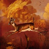 The burning house. Digital Design, Collage, Graphic Design, and Digital Illustration project by Fernanda Beovide Piccardo - 12.27.2023