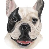 Ilustrações em aquarela animais. Ilustração tradicional projeto de Giana Tenius - 18.01.2024