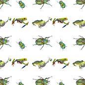 My project for course: Scientific Illustration for Pattern Design. Un progetto di Illustrazione tradizionale, Pattern design, Illustrazione digitale e Illustrazione naturalistica di denbyleslie - 18.01.2024