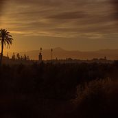 Morning in Marrakech. Een project van Fotografie van bjoern_10 - 15.01.2024