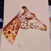 Mi proyecto del curso: Ilustración realista en acuarela de la vida salvaje. Fine Arts, Painting, Watercolor Painting, and Naturalistic Illustration project by Wightmare Arce - 01.16.2024