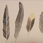 Il mio progetto del corso: Illustrazione naturalistica: acquerello in positivo e negativo . % alberto_biuso tarafından hazırlanan Geleneksel illüstras, on, Güzel sanatlar, Tablo, Çizim, Sulubo, a Resim, Botanik İllüstras, on, Doğalcı İllüstras, Ve on projesi - 01.04.2024
