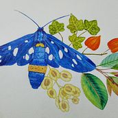 My project for course: Botanical Watercolor Painting of the Natural World. Un proyecto de Bellas Artes, Pintura, Pintura a la acuarela, Ilustración botánica e Ilustración naturalista				 de Dorottya Molnár - 21.01.2024
