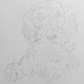 Mi proyecto del curso: Retratos de Mascotas en Lápices de Colores. Traditional illustration, and Naturalistic Illustration project by Pedro Campoverde - 01.22.2024