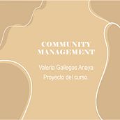 Community Management Instagram en Crecimiento. Design, Photograph, Graphic Design, Social Media, and Video Editing project by Valeria Gallegos - 01.22.2024