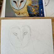 The Wise Old “magical” Owl in Watercolor. Traditional illustration, Watercolor Painting, Realistic Drawing, and Naturalistic Illustration project by Heidi McGuigan - 01.22.2024